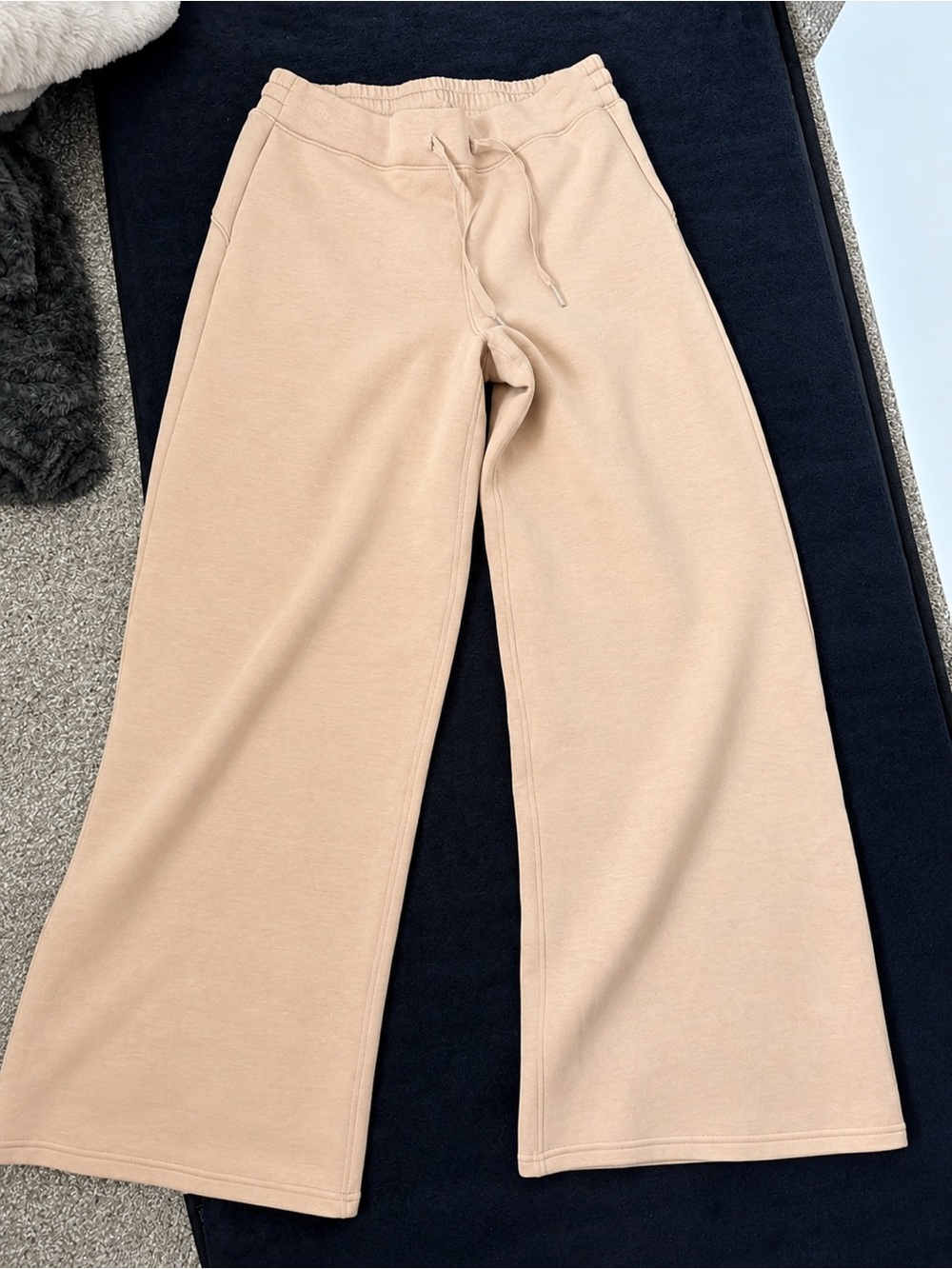 NWOT Wide Leg Drawstring Sweatpants in Blush